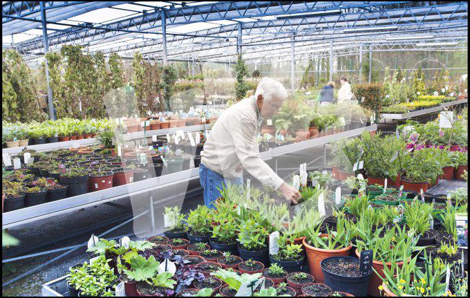 bloemen en planten vvbvanbree     1082